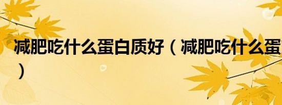 减肥吃什么蛋白质好（减肥吃什么蛋白质食物）