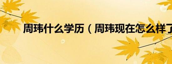 周玮什么学历（周玮现在怎么样了）