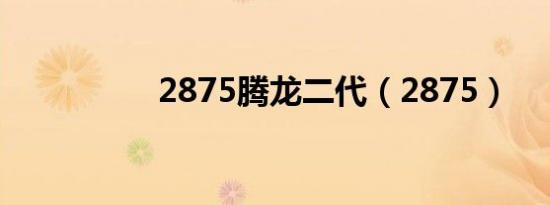 2875腾龙二代（2875）