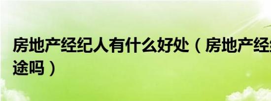 房地产经纪人有什么好处（房地产经纪人有前途吗）