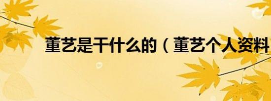 董艺是干什么的（董艺个人资料）