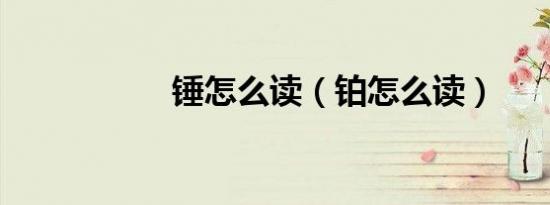 锤怎么读（铂怎么读）