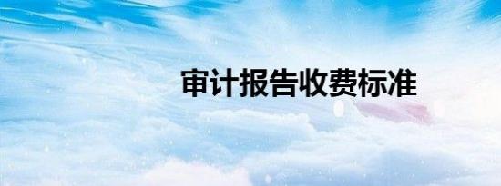 审计报告收费标准