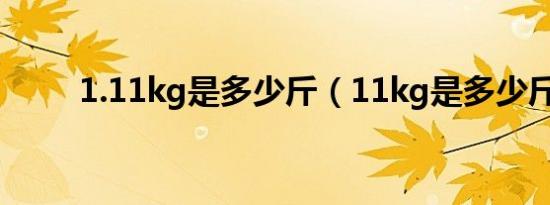 1.11kg是多少斤（11kg是多少斤）