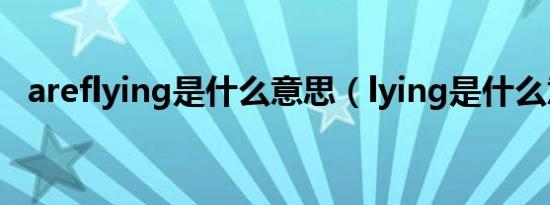 areflying是什么意思（lying是什么意思）