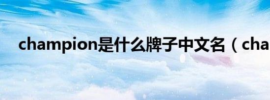 champion是什么牌子中文名（champ）