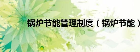 锅炉节能管理制度（锅炉节能）