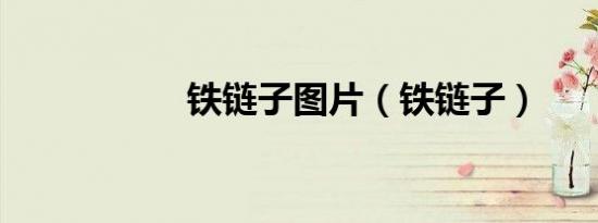 铁链子图片（铁链子）