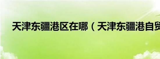 天津东疆港区在哪（天津东疆港自贸区）