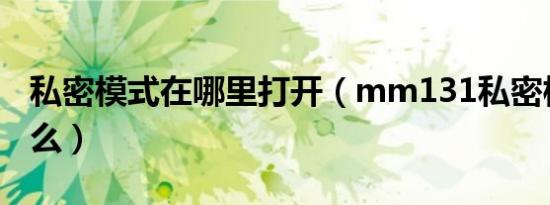 私密模式在哪里打开（mm131私密模式是什么）
