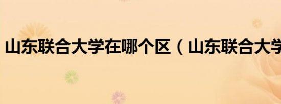 山东联合大学在哪个区（山东联合大学贴吧）