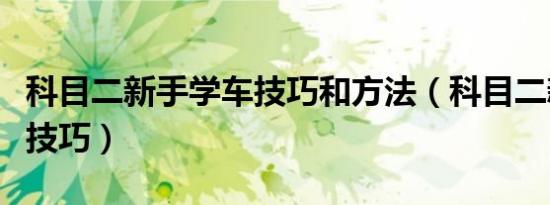 科目二新手学车技巧和方法（科目二新手学车技巧）