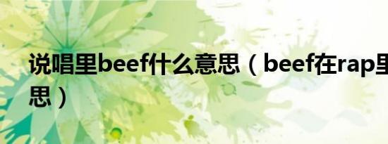 说唱里beef什么意思（beef在rap里什么意思）