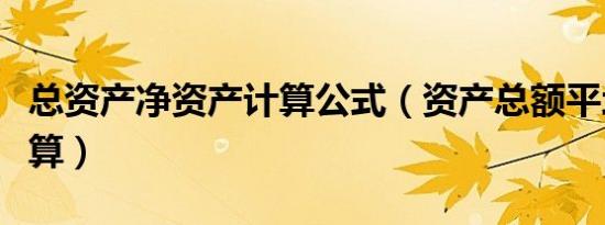 总资产净资产计算公式（资产总额平均值怎么算）