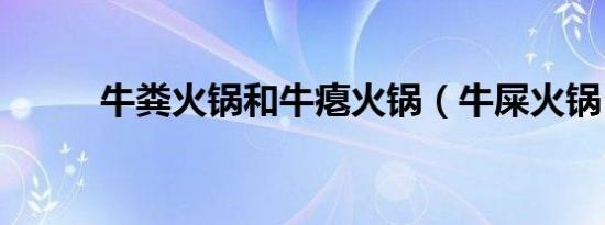 牛粪火锅和牛瘪火锅（牛屎火锅）