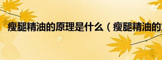 瘦腿精油的原理是什么（瘦腿精油的危害）