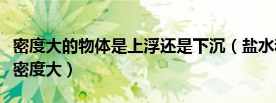 密度大的物体是上浮还是下沉（盐水和水哪个密度大）
