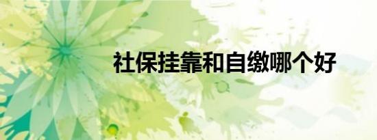 社保挂靠和自缴哪个好