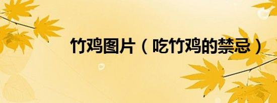 竹鸡图片（吃竹鸡的禁忌）