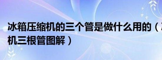 冰箱压缩机的三个管是做什么用的（冰箱压缩机三根管图解）
