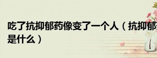 吃了抗抑郁药像变了一个人（抗抑郁药的原理是什么）