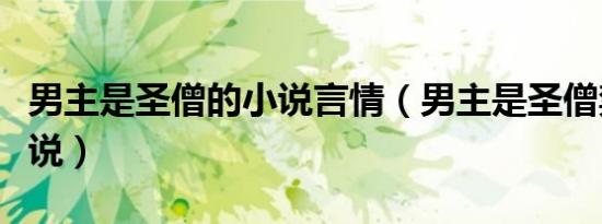 男主是圣僧的小说言情（男主是圣僧禁欲的小说）