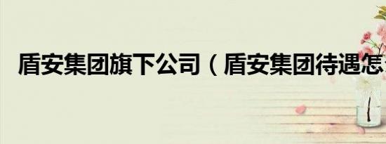 盾安集团旗下公司（盾安集团待遇怎么样）