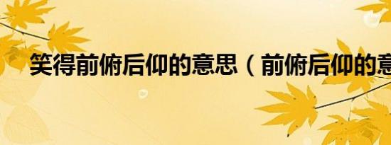 笑得前俯后仰的意思（前俯后仰的意思）