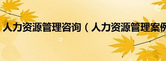 人力资源管理咨询（人力资源管理案例分析）