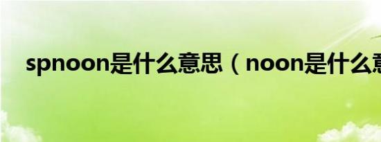 spnoon是什么意思（noon是什么意思）