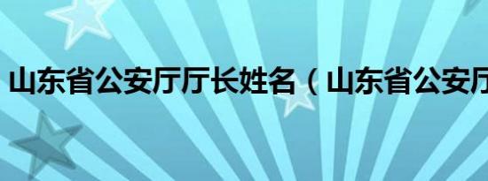 山东省公安厅厅长姓名（山东省公安厅厅长）