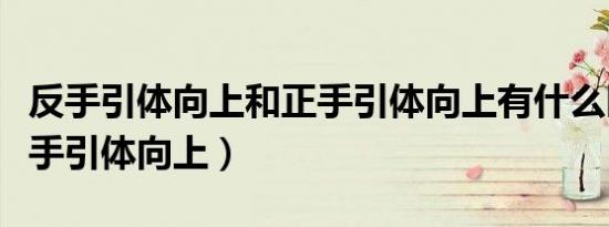 反手引体向上和正手引体向上有什么区别（反手引体向上）