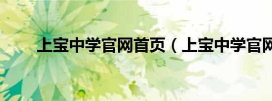 上宝中学官网首页（上宝中学官网）