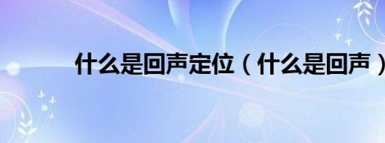 什么是回声定位（什么是回声）