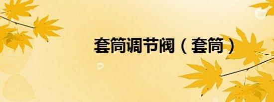 套筒调节阀（套筒）