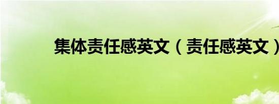 集体责任感英文（责任感英文）