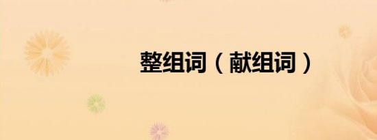 整组词（献组词）