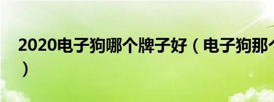 2020电子狗哪个牌子好（电子狗那个品牌好）