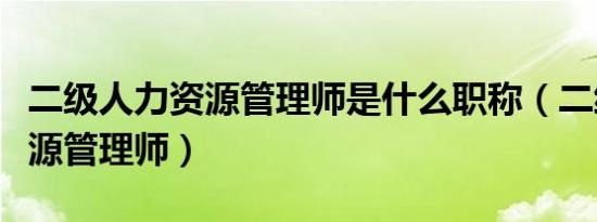 二级人力资源管理师是什么职称（二级人力资源管理师）