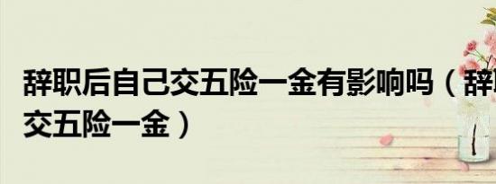 辞职后自己交五险一金有影响吗（辞职后自己交五险一金）