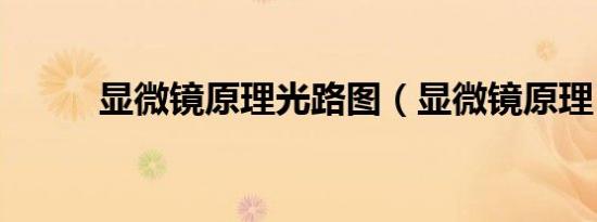 显微镜原理光路图（显微镜原理）