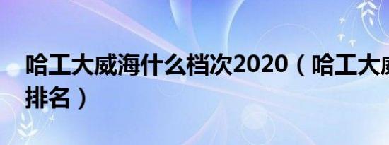 哈工大威海什么档次2020（哈工大威海全国排名）