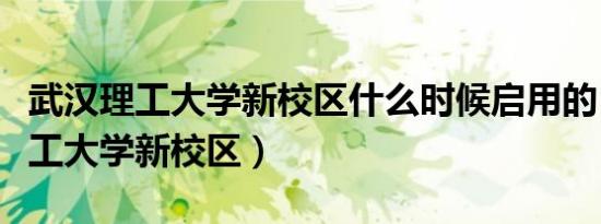 武汉理工大学新校区什么时候启用的（武汉理工大学新校区）