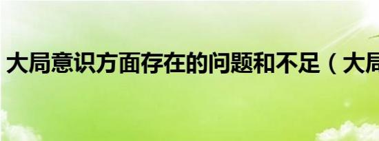大局意识方面存在的问题和不足（大局意识）