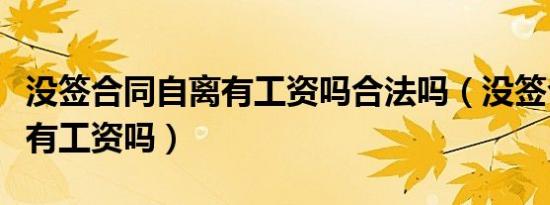 没签合同自离有工资吗合法吗（没签合同自离有工资吗）