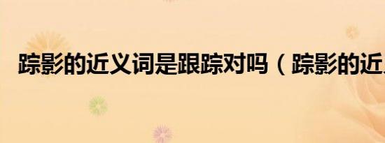 踪影的近义词是跟踪对吗（踪影的近义词）