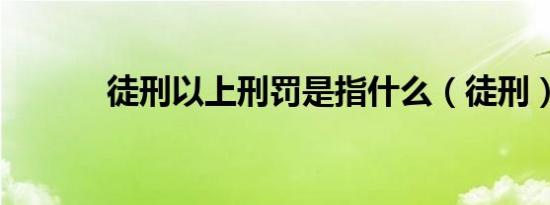 徒刑以上刑罚是指什么（徒刑）