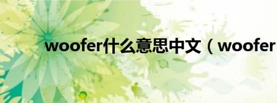 woofer什么意思中文（woofer）