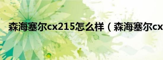 森海塞尔cx215怎么样（森海塞尔cx215）