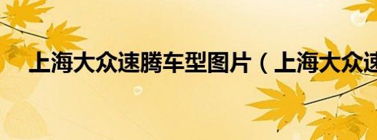 上海大众速腾车型图片（上海大众速腾）